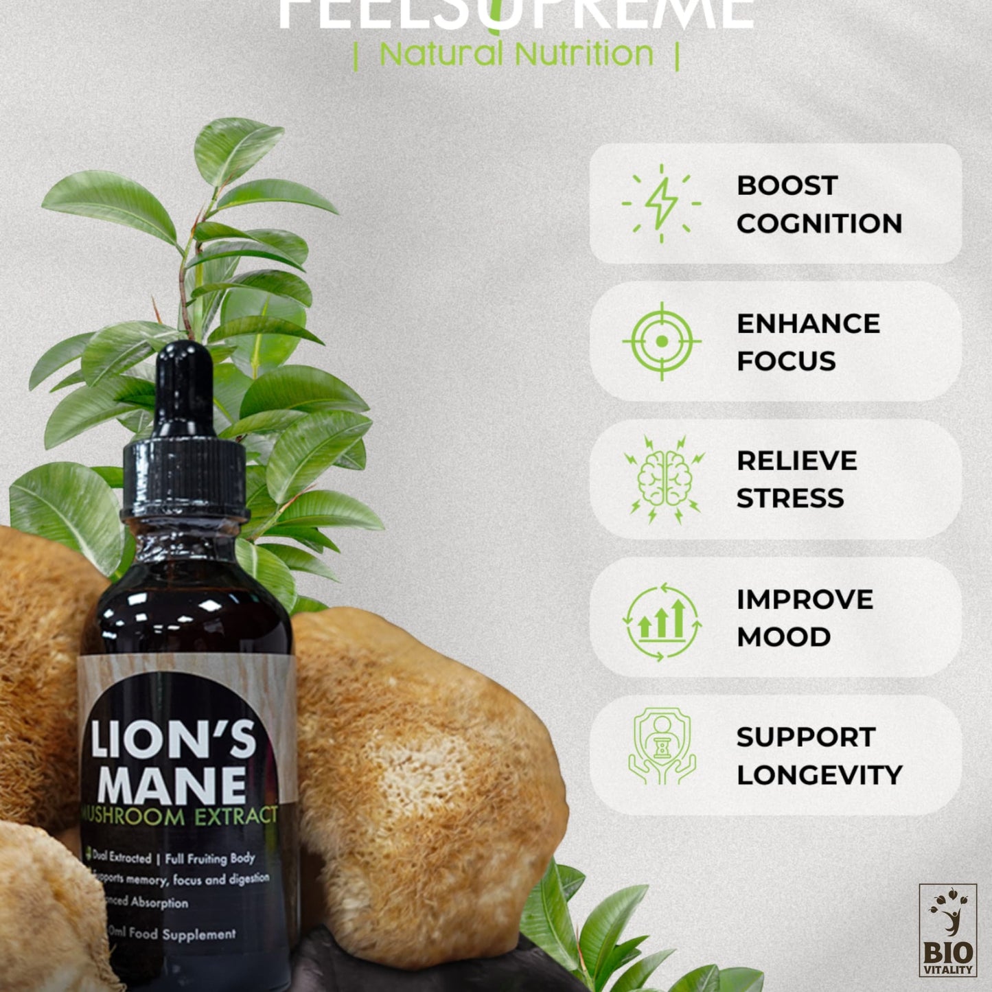 Champignon Lion’s Mane liquide concentré - 60 ml