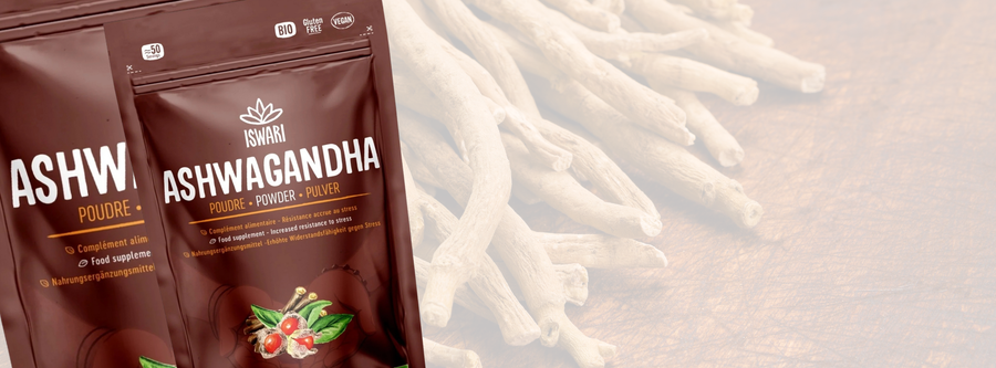 Bonus de l’Avent 2 : Le rituel du soir avec Ashwagandha