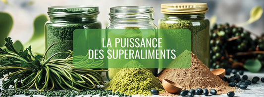 Le pouvoir des superfoods : jusqu’où peuvent-ils vous mener ?