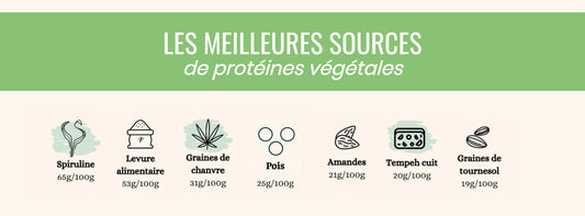 Parlons protéines végétales