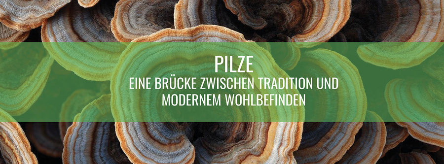 Die uralte Kraft der Pilze: das funktionelle Superfood der Natur