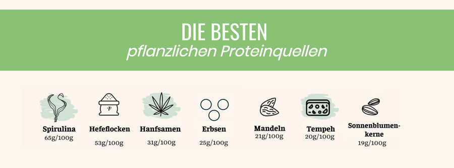 Pflanzliche Proteine im Fokus