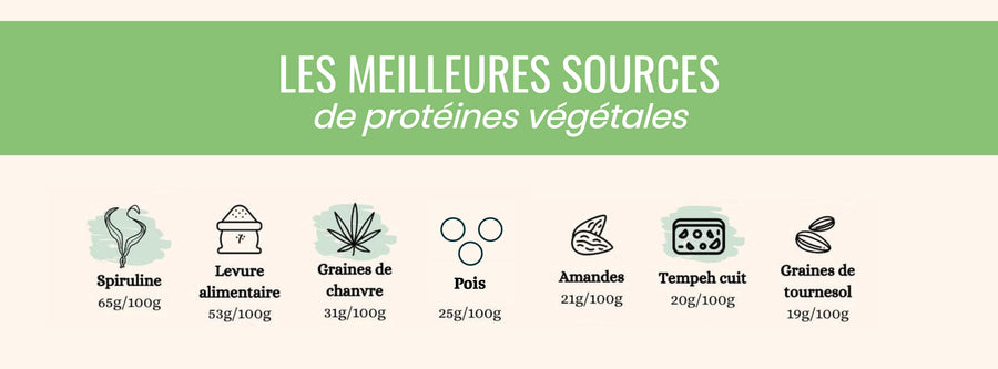 Parlons protéines végétales