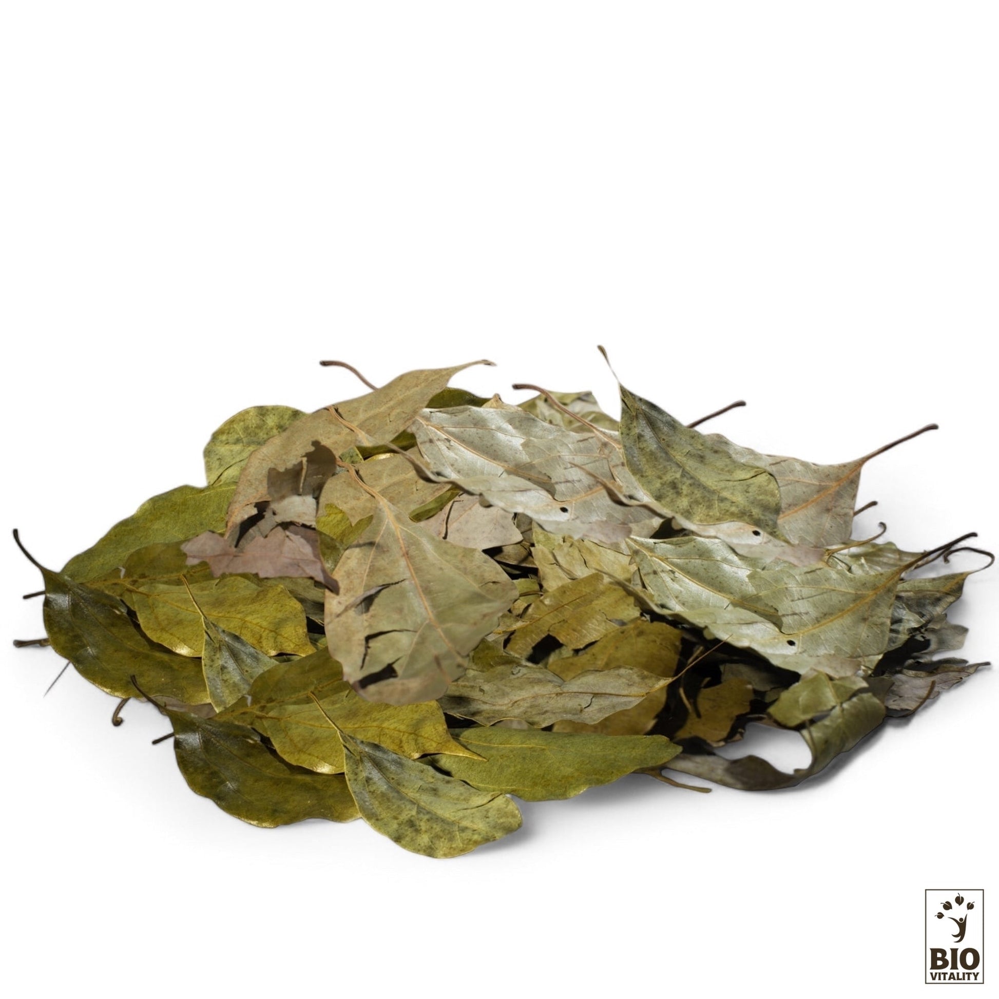 Un Sachet de 500g de Feuilles de Ravintsara Bio de BETSARA repose sur un fond blanc, mettant en valeur des nuances de vert et de marron, connues pour leurs propriétés purifiantes.