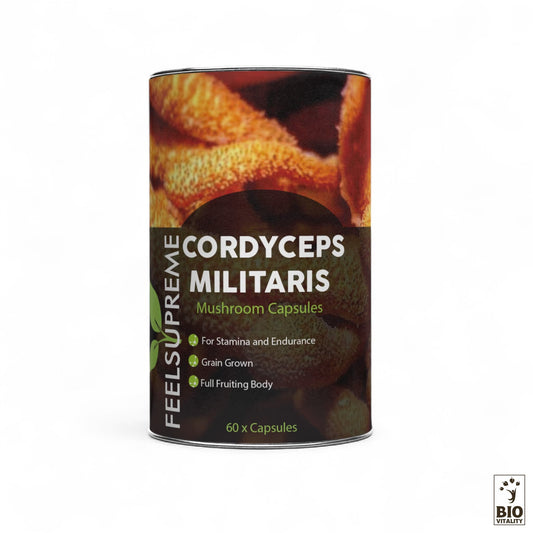 Capsules de Cordyceps Militaris - 60 capsules