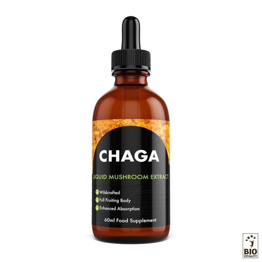 Champignon Chaga liquide concentré - 60 ml