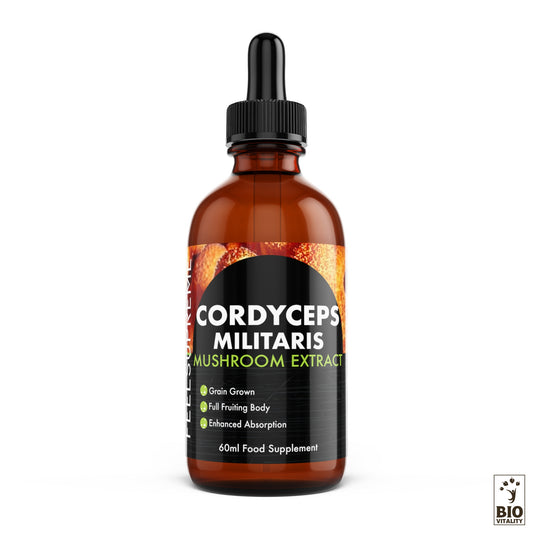 Champignon Cordyceps Militaris liquide concentré - 60 ml