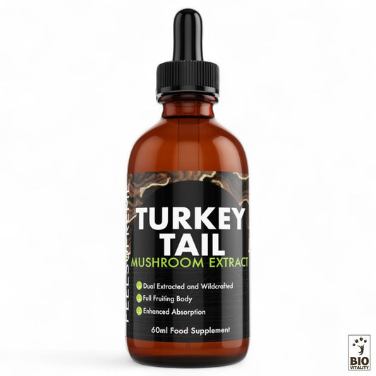 Champignon Turkey Tail liquide concentré - 60 ml